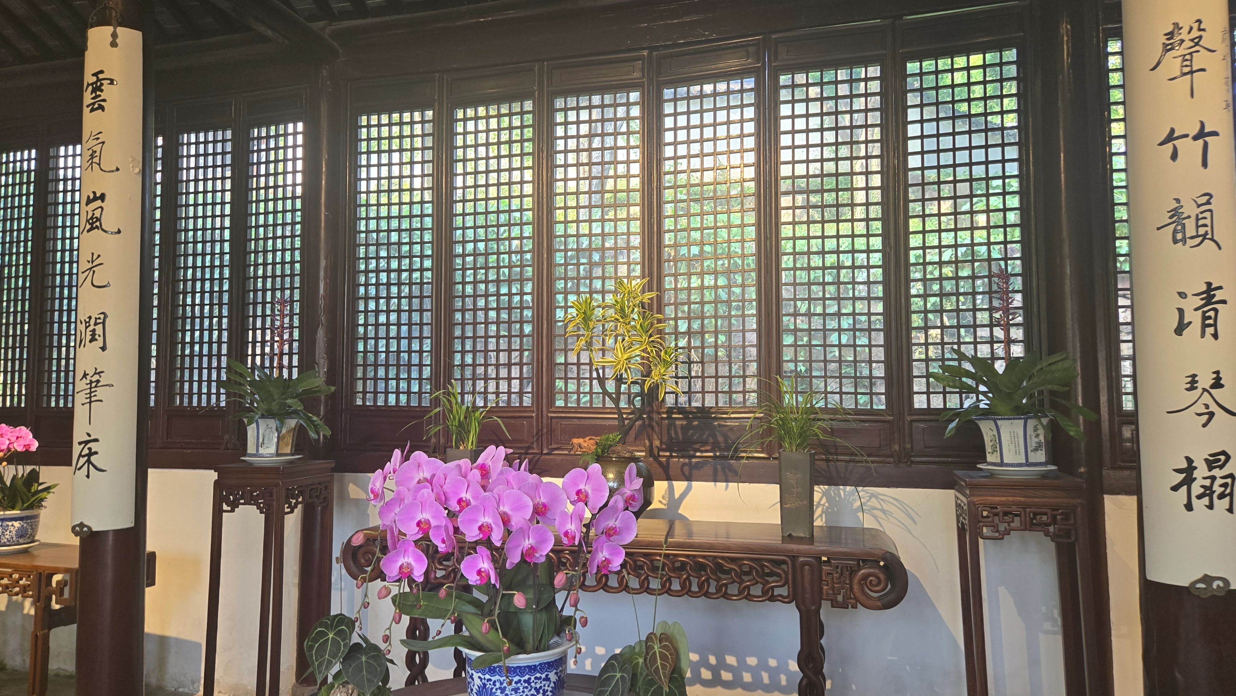虎丘
